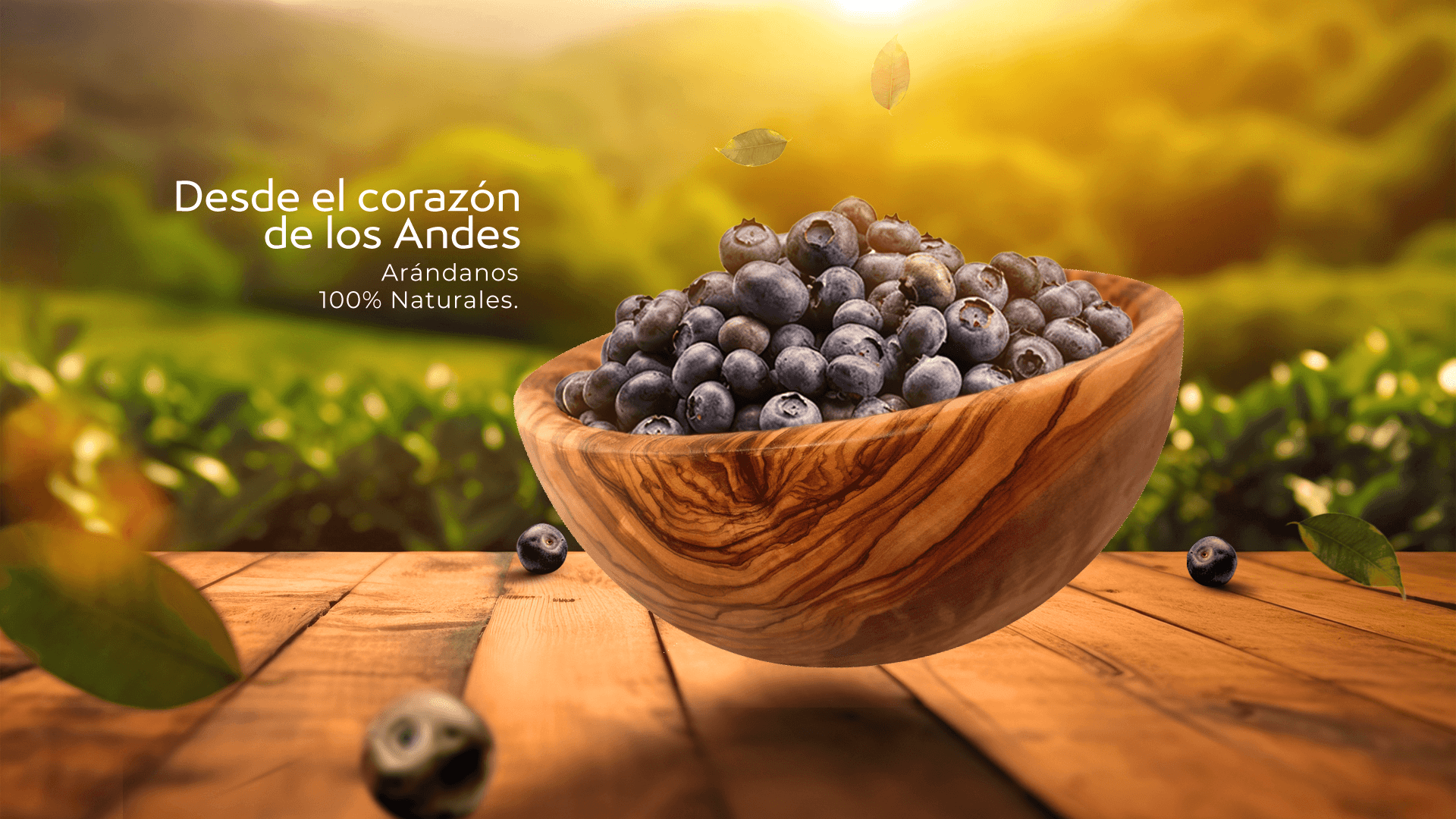 Arandino_banners_web2