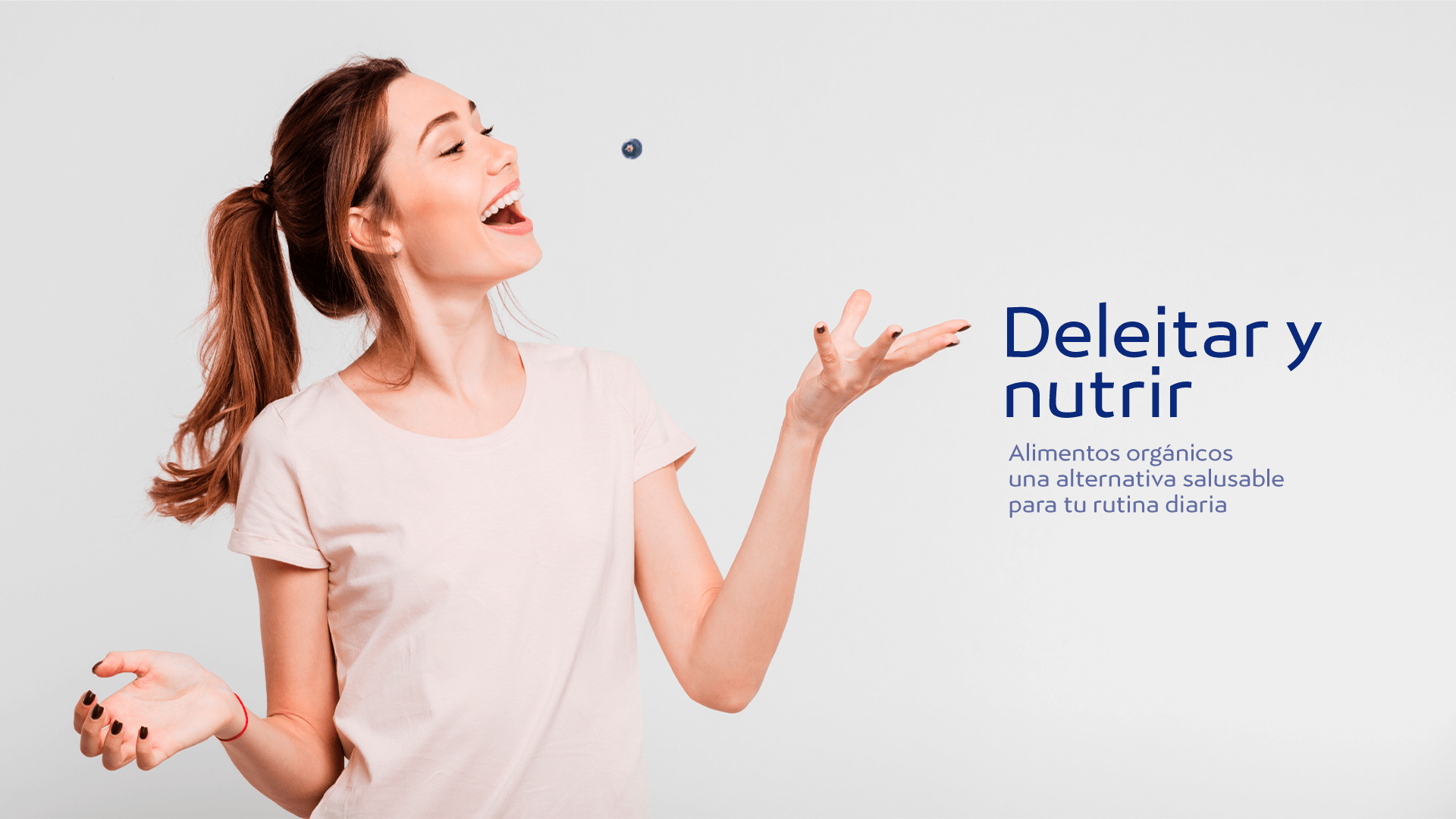 Arandino_banners_web3